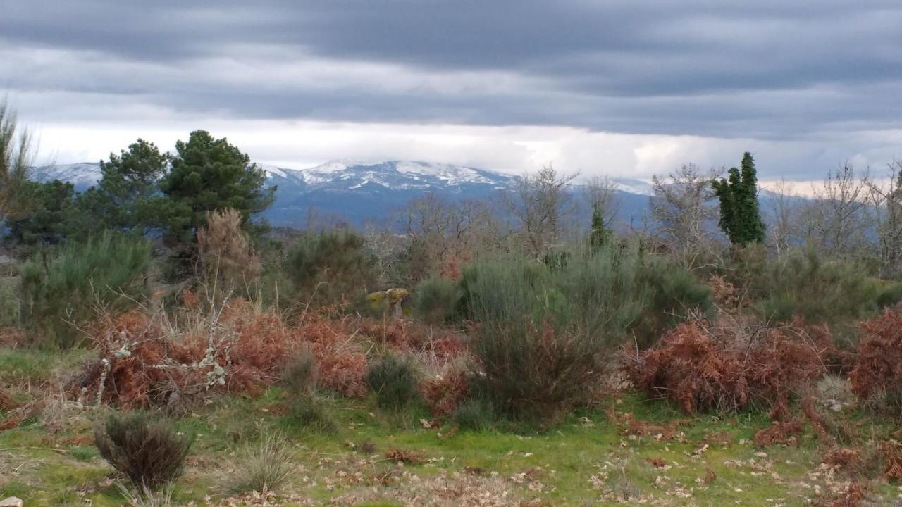 Casas Da Fraga - Serra Da Estrela 福尔努什迪阿尔戈德里什 外观 照片